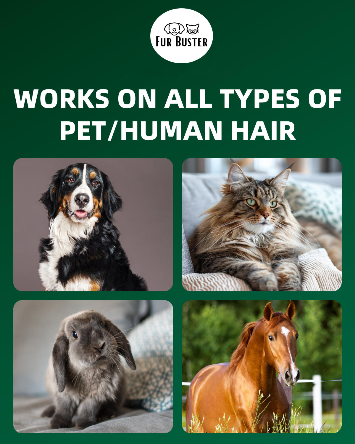 FurBuster Pet Hair Dissolver